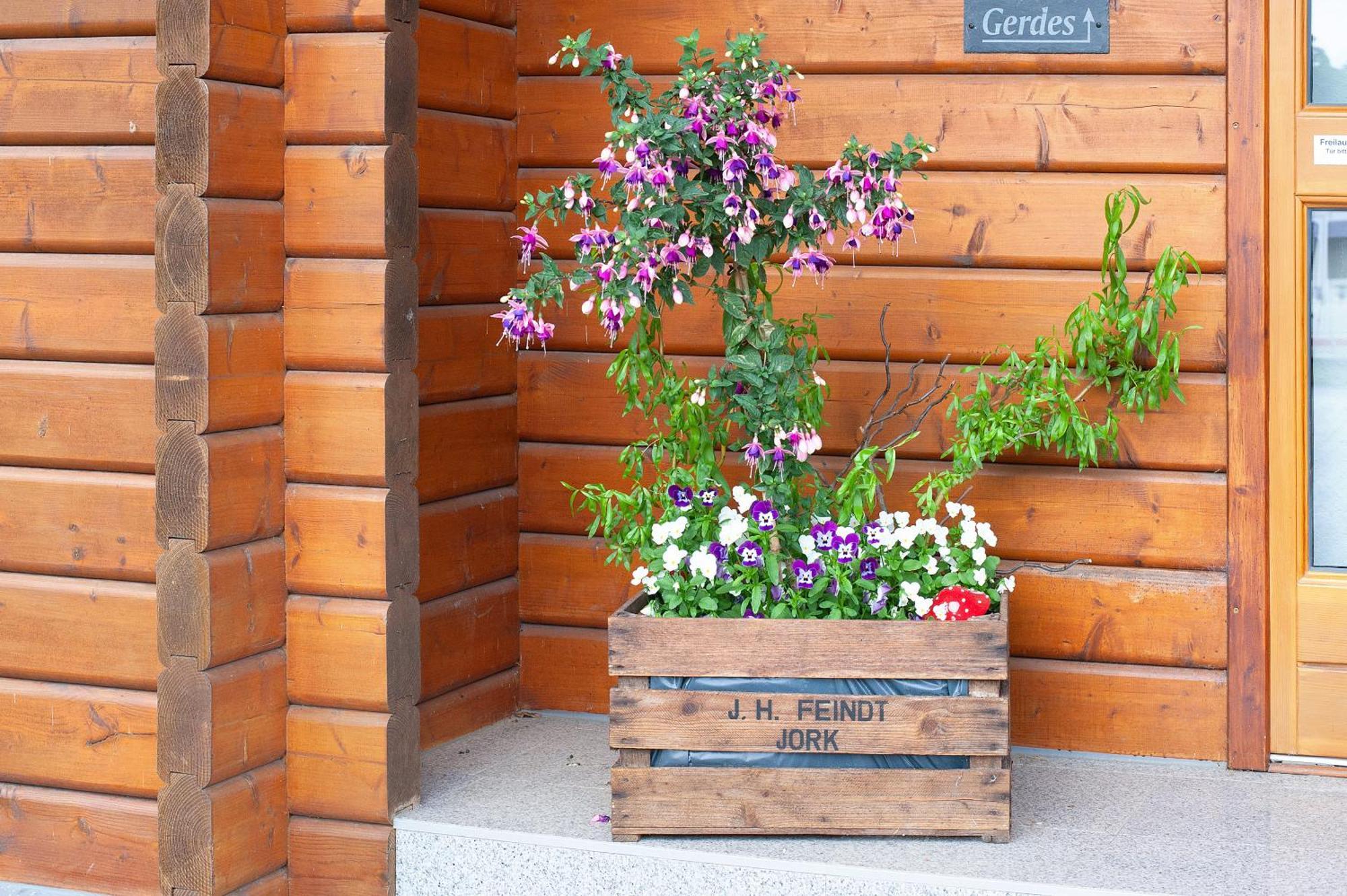 Entenhaus Hilgendorf المظهر الخارجي الصورة
